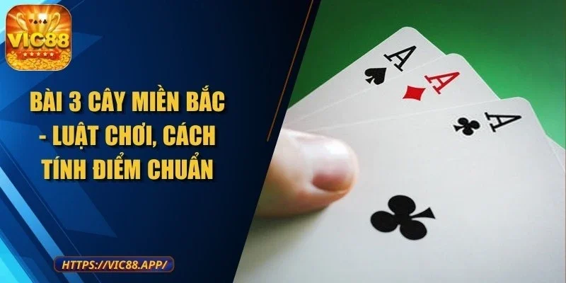 bai-3-cay-mien-bac