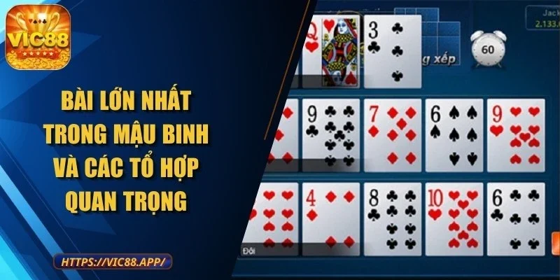 bai-lon-nhat-trong-mau-binh