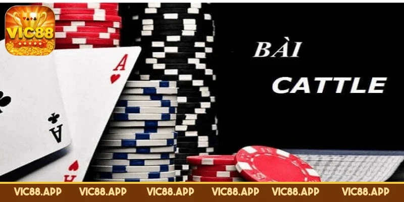 cach-choi-bai-cat-te-online-huong-dan-cach-choi