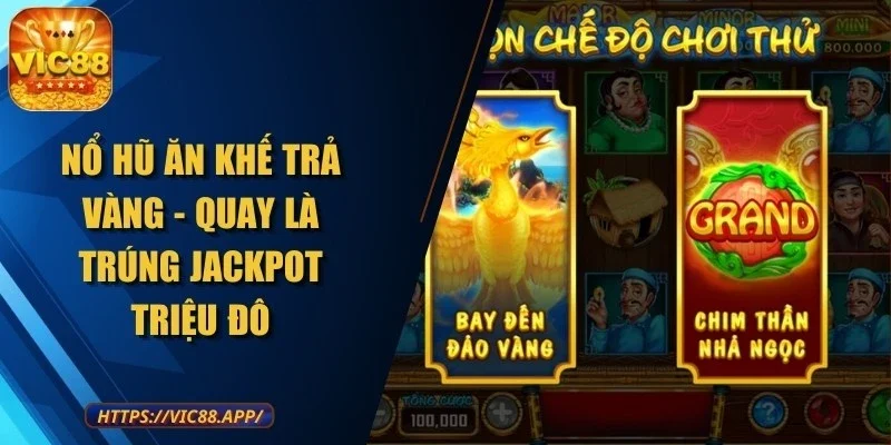 no-hu-an-khe-tra-vang